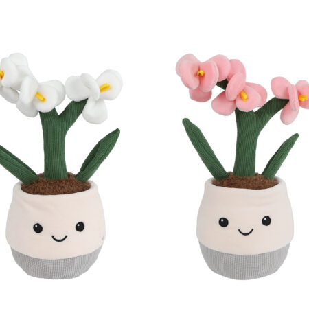 Take me home plant pluche orchidee L 2ass 23cm