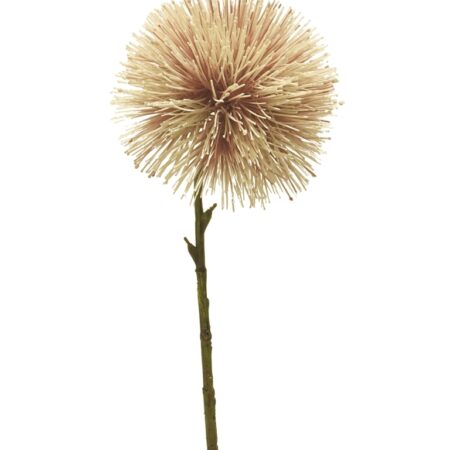 Taraxacum flower pink 47cm