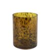 Theelichth luipaard rond Espen S