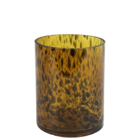 Theelichth luipaard rond Espen S
