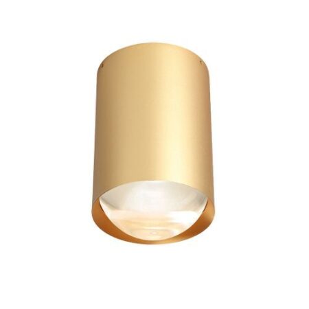 Bily 16 up Plafondlamp - Goud frame - Zilveren ring
