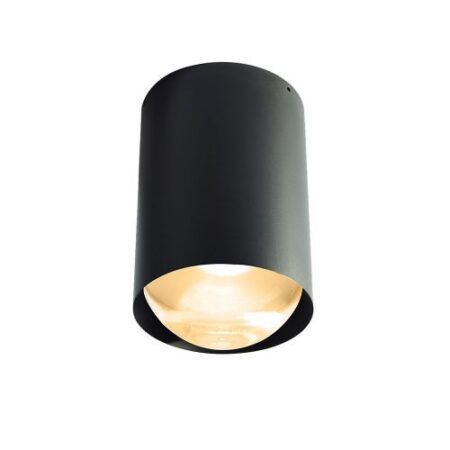 Bily 16 up Plafondlamp - Zwart frame - Gouden ring