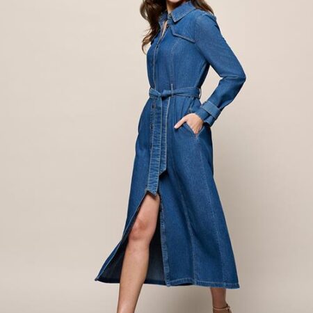 Troy Denim Jurk Medium Blauw Denim