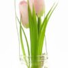 Tulip yara in glass pot w/hanger pink 24cm