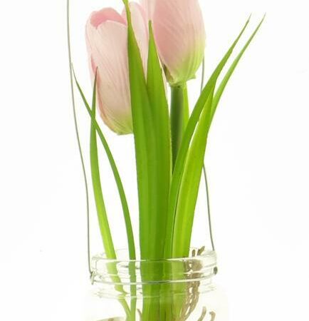 Tulip yara in glass pot w/hanger pink 24cm