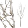 Twig plant brown dried look