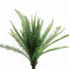 UV Fern Torres Sunrise 60cm