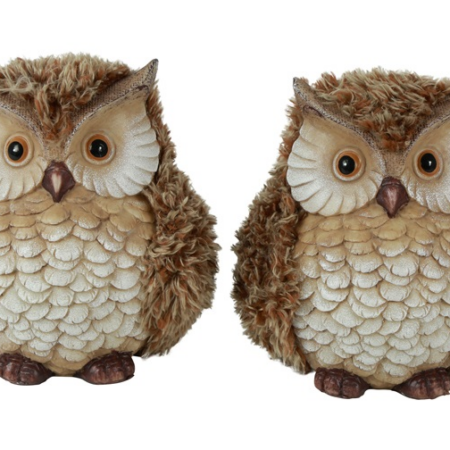 Uil Wisdom XL