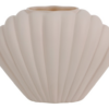 Vaas Shell M creme