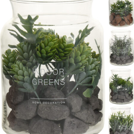 Vetplantjes in glazen pot