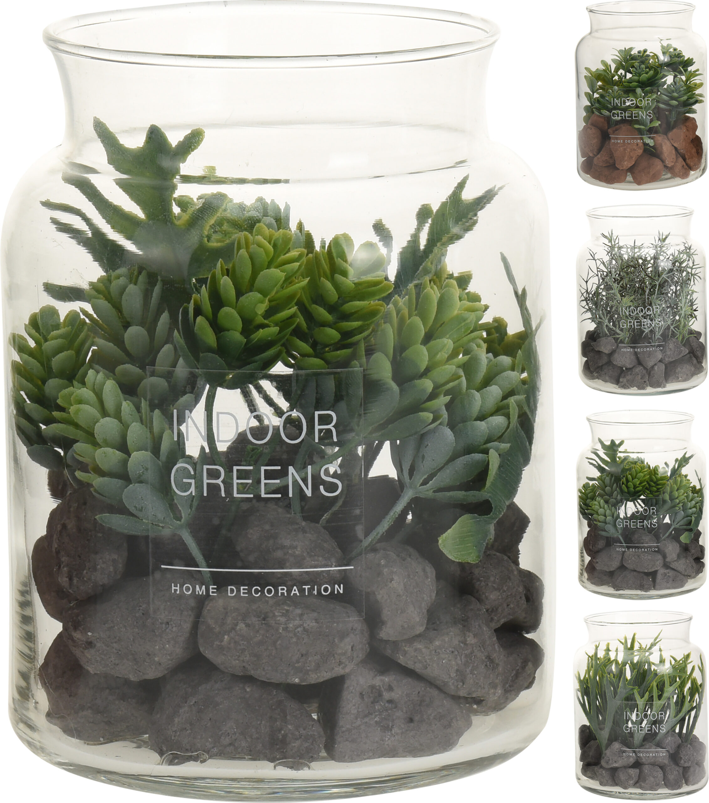 Vetplantjes in glazen pot