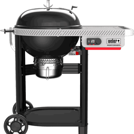 Weber Performer Smart