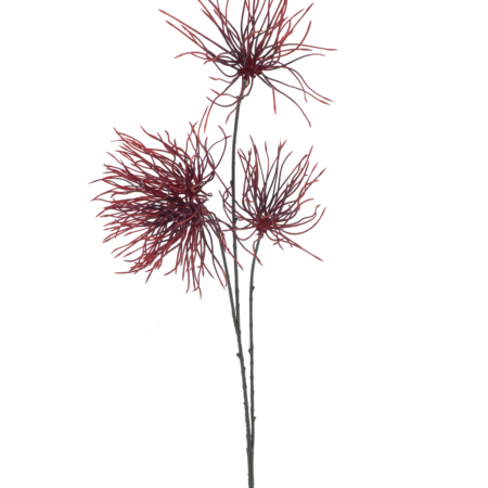 Weeds spray red 94cm