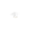 Wever Ducre Ray 1.0 PAR16 Opbouwspot - Wit