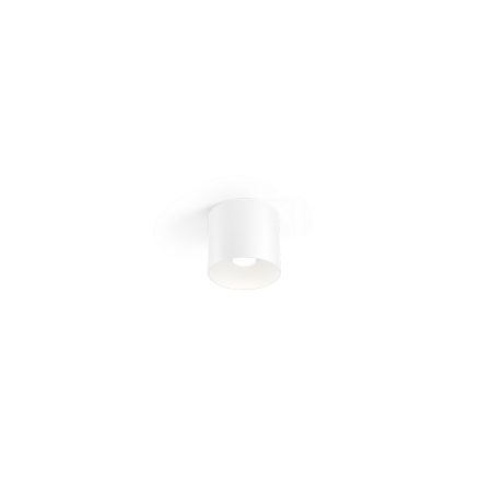 Wever Ducre Ray 1.0 PAR16 Opbouwspot - Wit