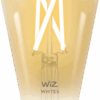 WiZ Smart Filament lamp Edison - Warm tot Koelwit Licht - E27
