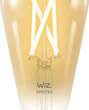 WiZ Smart Filament lamp Edison - Warm tot Koelwit Licht - E27