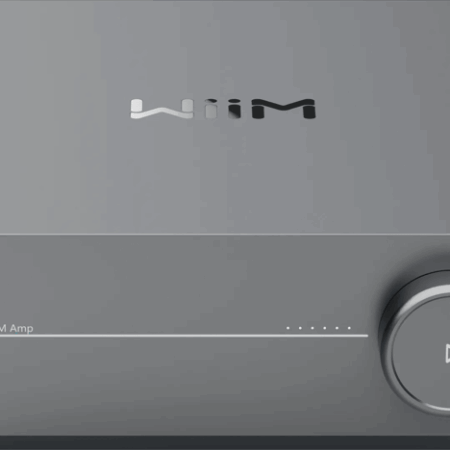 WiiM Amp Grijs