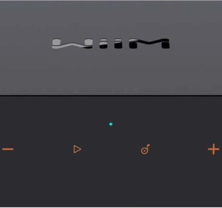 WiiM Pro Plus