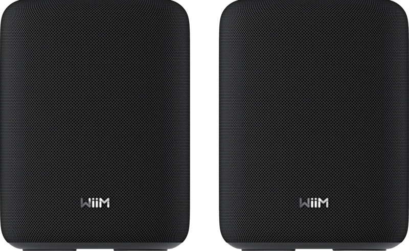 WiiM Sound Lite Twin Zwart