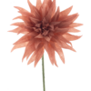 Wild dahlia spray Texas peach 70cm