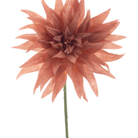 Wild dahlia spray Texas peach 70cm