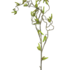Willow twig spray lvs green 100cm