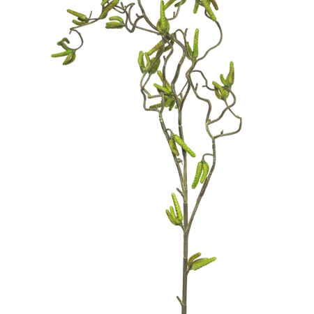 Willow twig spray lvs green 100cm