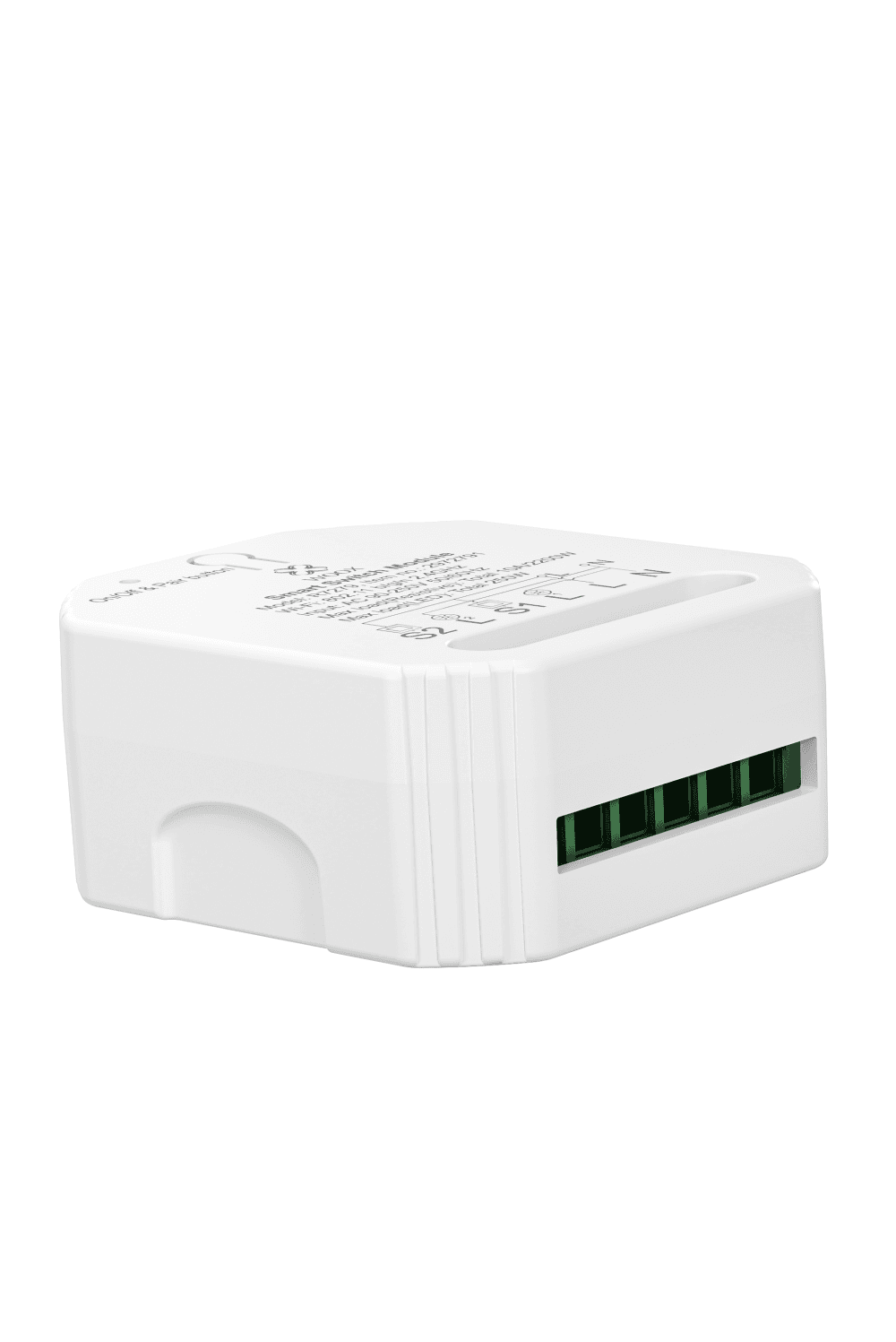 Smart switch 2-gang module