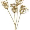 X'mas queen anne lace spray gold 68cm