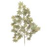 Zijde Acer leaf