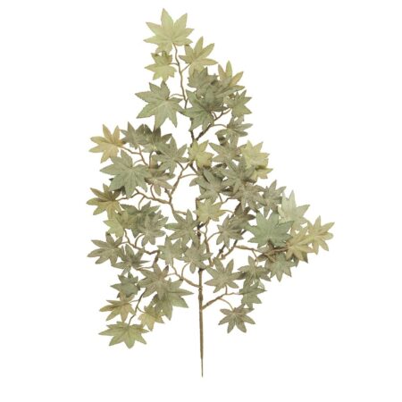 Zijde Acer leaf