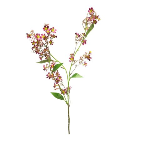Zijde Clerodendron rood