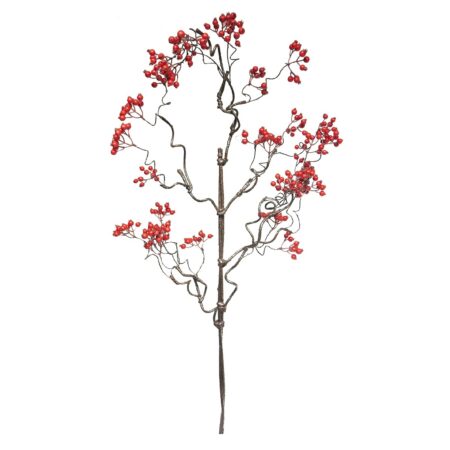Zijde Crataegus berry rood