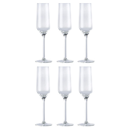 Margarita-/ champagne-/ cocktail-/ gin-tonic-/ wijnglazen (Champagneglazen 22 cl 6 stuks)