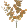 Eucalyptus spray Monica yellow 63cm