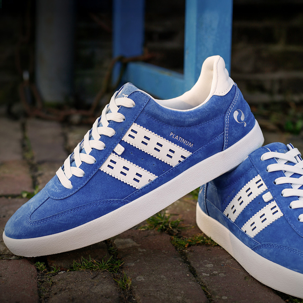 Heren Sneaker Platinum | Koningsblauw/Wit